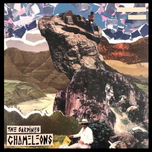 Chameleons