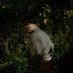 den_taku सुनें, म्यूज़िक वीडियो देखें, बायो पढ़ें, दौरे की तारीखें और बहुत कुछ देखें!