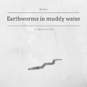 Ggomagyun - Earthworms In Muddy Water