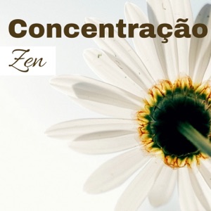 Concentração Zen - Alcançar a Paz Interior, Música Relaxante para Massagens