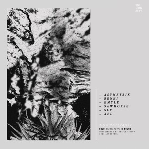 Asymetrik 004
