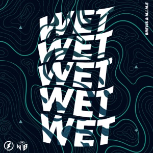Brevis & M.I.M.E. - Wet - Line Dance Musik