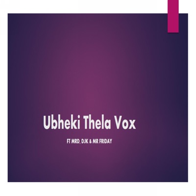 Ubheki Thela Vox (feat. MRD, DJK & MR Friday) - Single