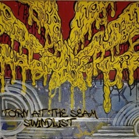 Swindlist - Single - Torn at the Seam