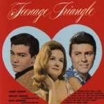 Shelley Fabares - Johnny Angel (Single Version)