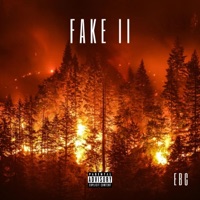 Fake II - Single - EBC