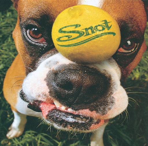 Album artwork