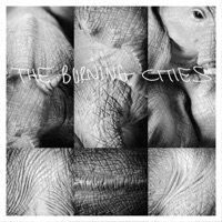 Something You Should Know (feat. Justin Serrao) - Single - The Burning Cities