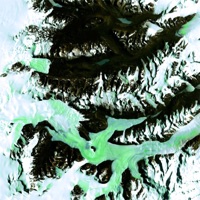 5Am - Single - Monti & WQLFF