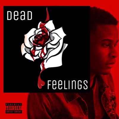 DEAD FEELINGS