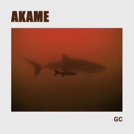 Akame Giovanni Cortes