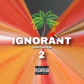 IGNORANT 2 CestCalvin