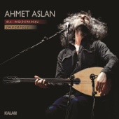 Şu Kanlı Zalimin Ettiği İşler - Ahmet Aslan