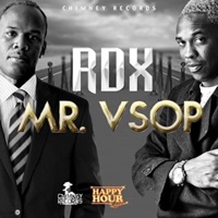 Mr. Vsop - Single - RDX