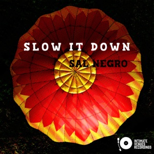 Slow It Down - Single