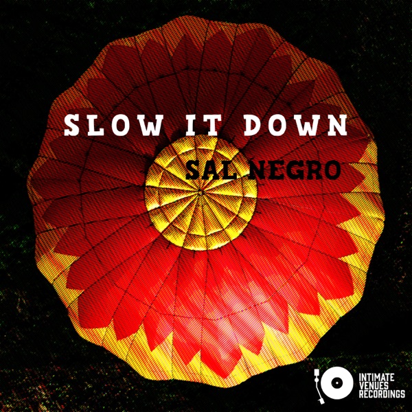 Slow It Down - Single