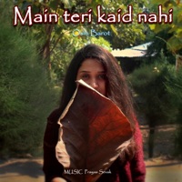 Main teri kaid nahi (feat. Osin Barot) - Single - Prayas Sevak