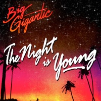 The Night Is Young - Big Gigantic