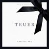 Teuer - Single