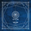 Blue Rose
