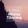 1 Hora de Música Tibetana - Sonidos para Relajarse - Tomás Galáctico