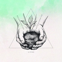 Reforestation - Liphe