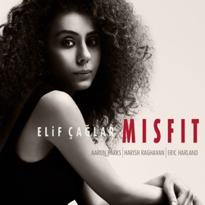 Misfit