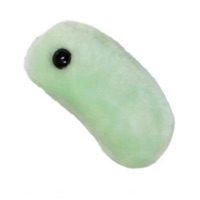 Ur P***y Poggers! - Single - Hungo