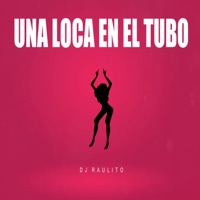 Una Loca en el Tubo - Single - Dj Raulito
