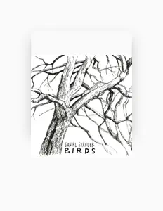 Listen to Daniel Stahler, watch music videos, read bio, see tour dates & more!