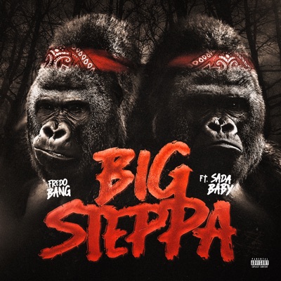 Big Steppa (feat. Sada Baby) - Single