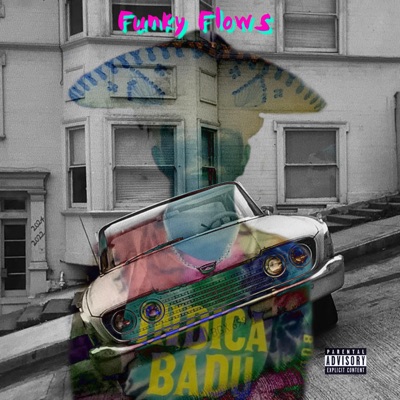 Funky Flows - Single