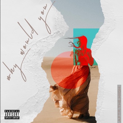 Why Would You - Single