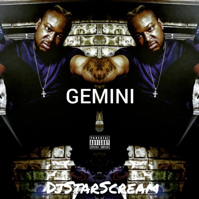 Double1Gun Pt. 1 : Gemini