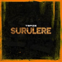Surulere - Single - Tspize