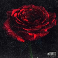 Tu Lo Sabe' - Single - LUCKYKODEX