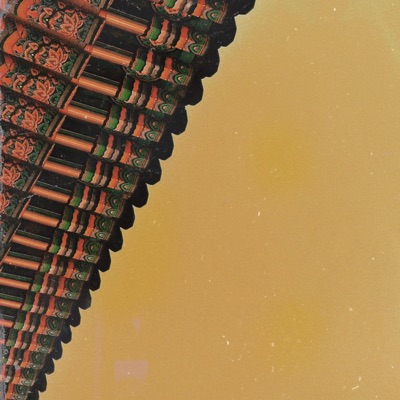 Still Dreaming - Single