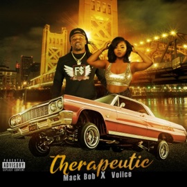 Therapeutic (feat. Voiice) Mack Bob