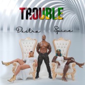 Spice - Trouble