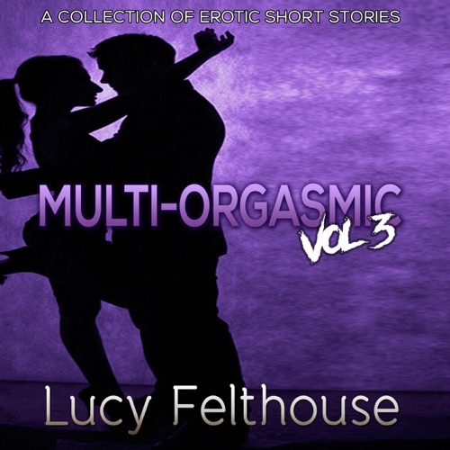 Multi-Orgasmic: Vol 3: A Collection of Erotic Short Stories (Unabridged) cover