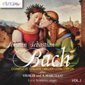 Concerto in D Minor, BWV 974 "After Alessandro Marcello": II. Adagio - Luca Scandali