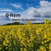 Wind In the Meadows - Single