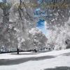 EZEN - Mozart-Piano Sonata No.16 In C Major K.545 - I. Allegro
