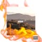 Deal With It - trillyupnxt lyrics