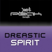 Spirit (Dreas Mix) artwork