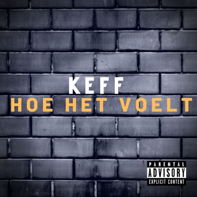 Hoe Het Voelt - Single