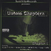 Untold Chapters-chapter 1 - C.I.N.