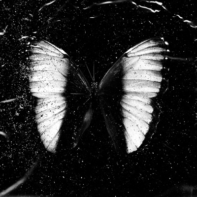 What's the Move? (feat. PFN Miggy) - Single