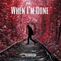 When I'm Gone - Single - Aary'n