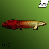 Bamboo - Single - Cozway